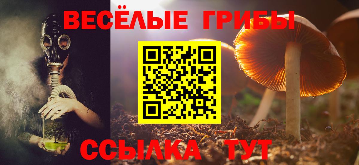 Галлюциногенные грибы мицелий  Вход с VPN  Орёл 